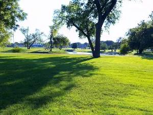 Riggs Park