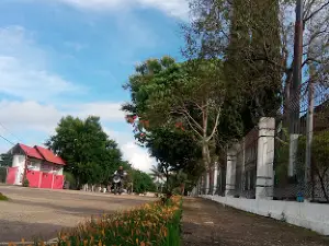 Soe Ntt Lap. Bola Nana