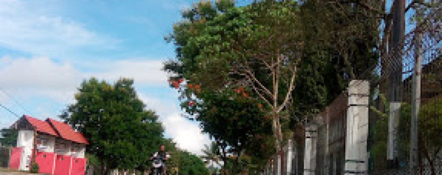 Soe Ntt Lap. Bola Nana