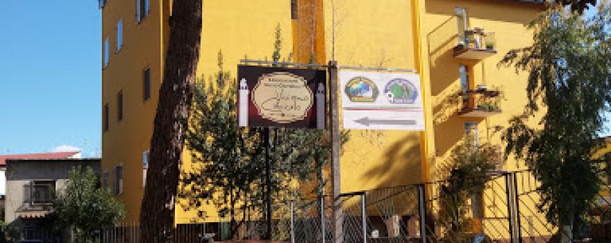 Associazione Socio Culturale VIVIAMO CANCELLO