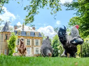 Castle Experience - La Moncelle