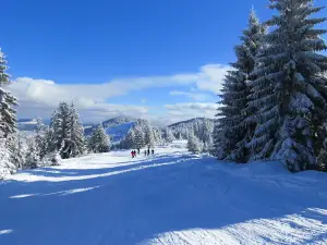 Partia Prislop