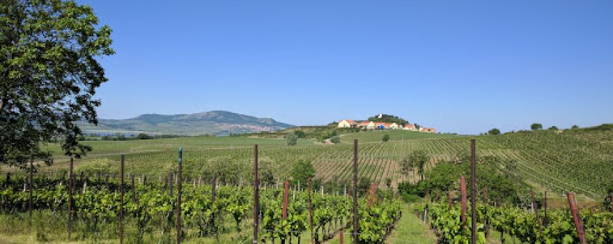 Kaplička