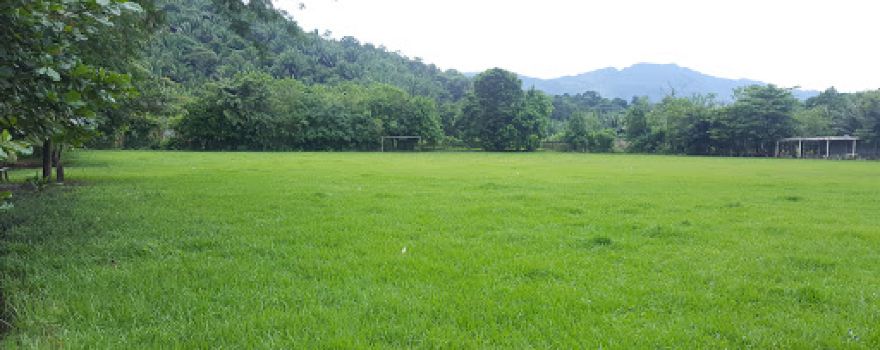 Estadio Coloneña