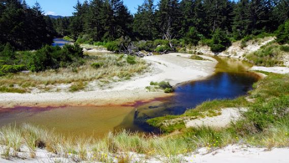 Oregon Dunes Day Use Area