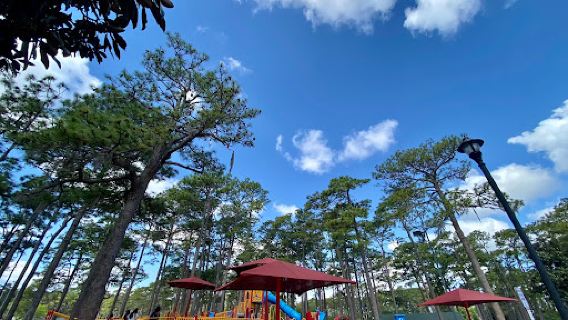 Long Leaf Park