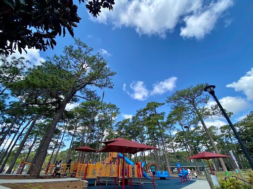 Long Leaf Park