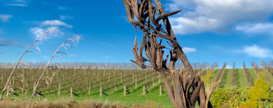 Flaxmore Vineyards