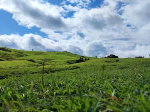 Bukit Humon_Teletubies Lelogama