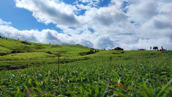 Bukit Humon_Teletubies Lelogama