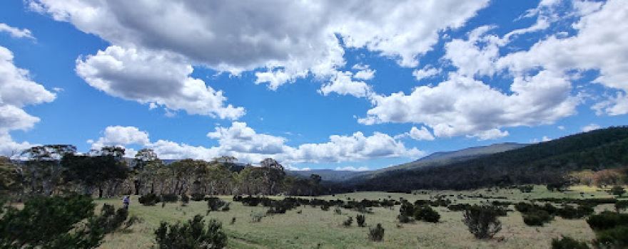 Cowombat Flat