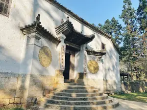 Nhà vua Mèo (Nhà Vương)