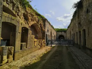The Fort In Enigmas