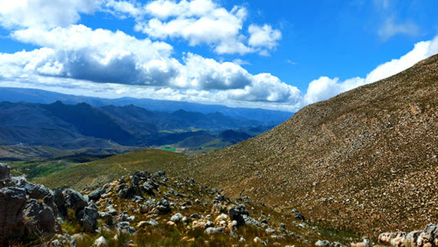 Protea Farm - Tractor Rides and Potjie Kos Lunch