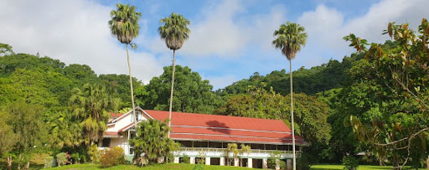 Ortinola Estates Ltd.