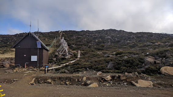 Mount Field