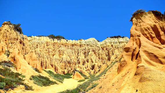 Arriba Fóssil da Galé