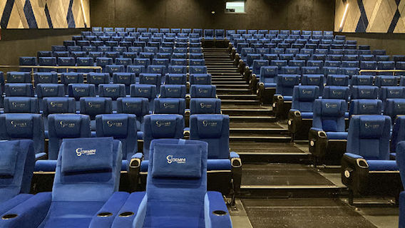 SVC GEMINI CINEMAS MULTIPLEX