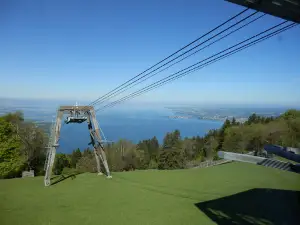 Alpenwildpark Pfänder