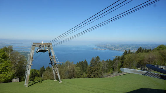 Alpenwildpark Pfänder