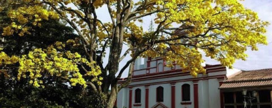 San Antonio De Padua Church