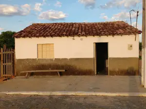 Mini Floresta