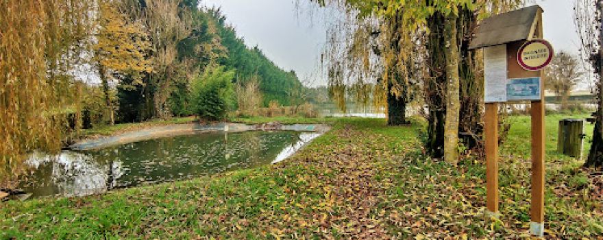 Étang du moulin à Crieul