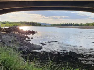 Trotuș River