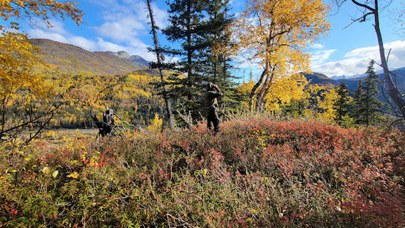 Caribou Creek Recreational Mining Area