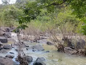 Cachoeira Salto Do Bananal