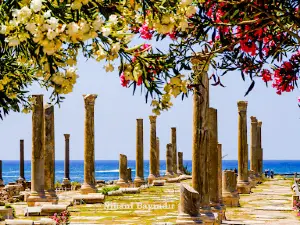 Ruins of Tyre : The Egyptian Port