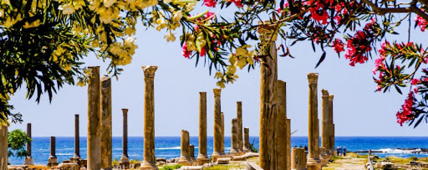 Ruins of Tyre : The Egyptian Port