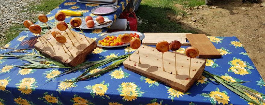 La Bergerie aux Mille Couleurs - Ferme touristique du Cap