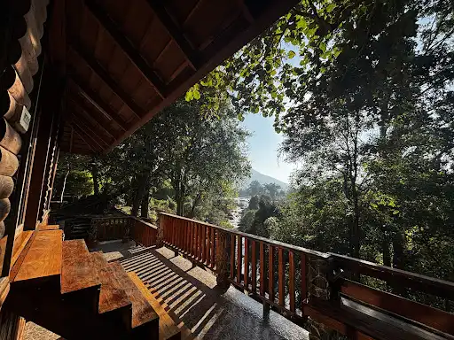 Khao Kra Yang Forest Plants Tickets [2026] - Promos, Prices, Reviews ...