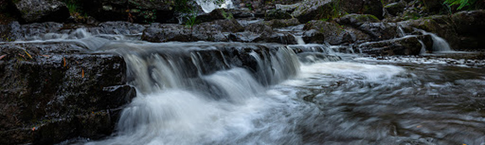 WilmotTravel photography