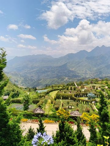Bản Bo