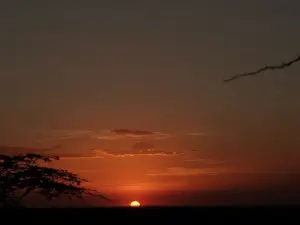 Sunset Camp Masai Mara