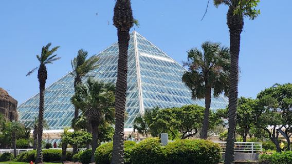 Rainforest Pyramid