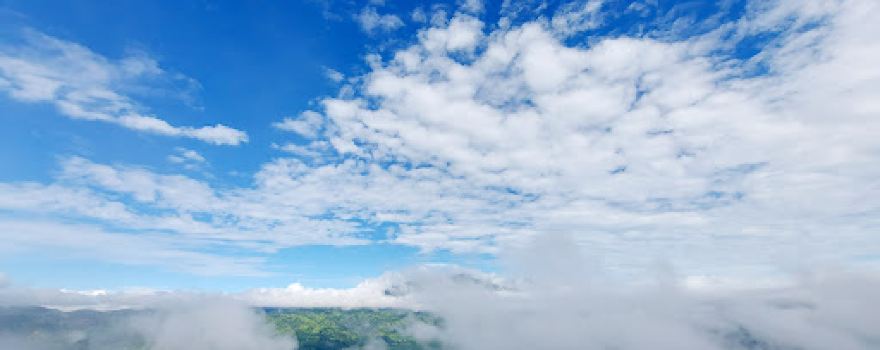 Calamba Farm Sea of Clouds Maragusan