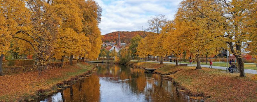 Badepark Nagold (Frei- und Hallenbad)