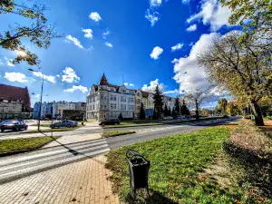Park przypałacowy