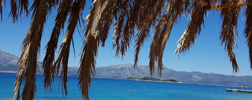 Beach Prvi Zal