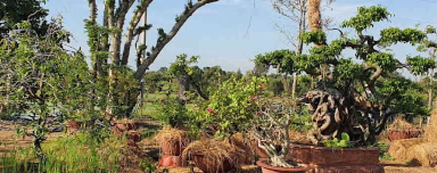Khu Du Lịch Sinh Thái Tâm Như Long An