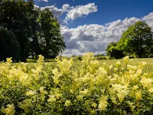 Djuröns Nature reserve