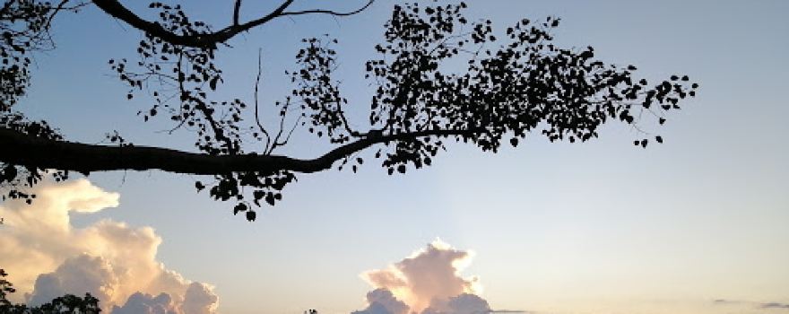 Irugal Bodhi Viharaya Mahakanda
