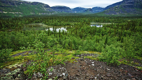 Bazovyy Lager' "Pod Kuyvoy"