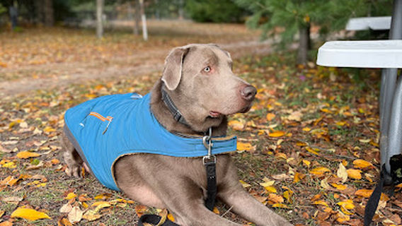 Boyne Country RV Park and Campground