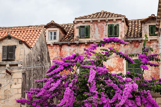 Compare 5 airports near Cavtat