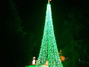 Christmas in Cotton Plant