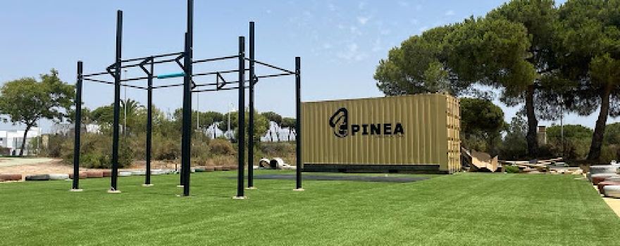 PINEA CROSS FUNCTIONAL